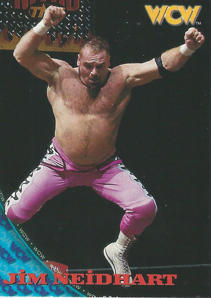 WCW/NWO Topps 1998 Jim Neidhart #48