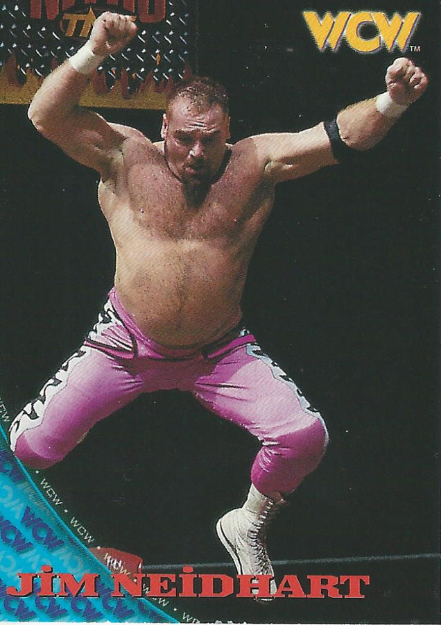 WCW/NWO Topps 1998 Jim Neidhart #48