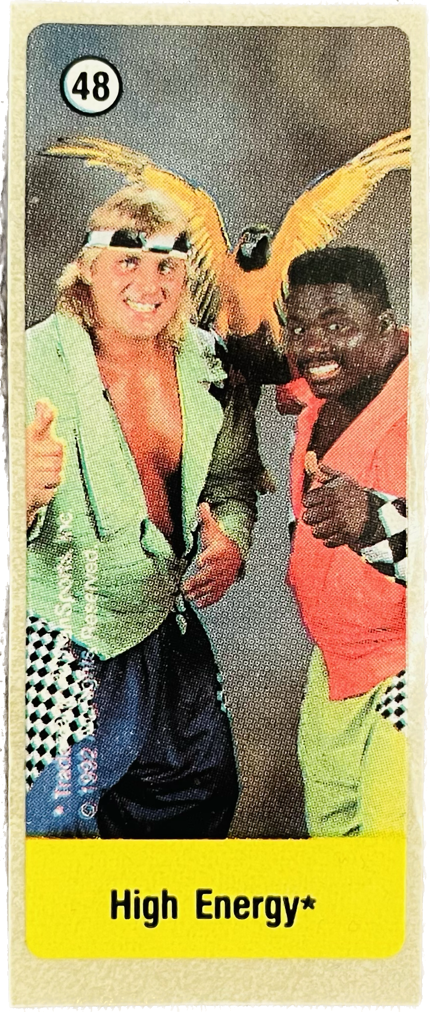 WWF Dunkin Bubble Gum Stickers (1992) No. 48 High Energy PW Catalog