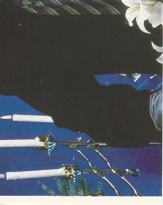 WWF Merlin Stickers 1991 Undertaker #48