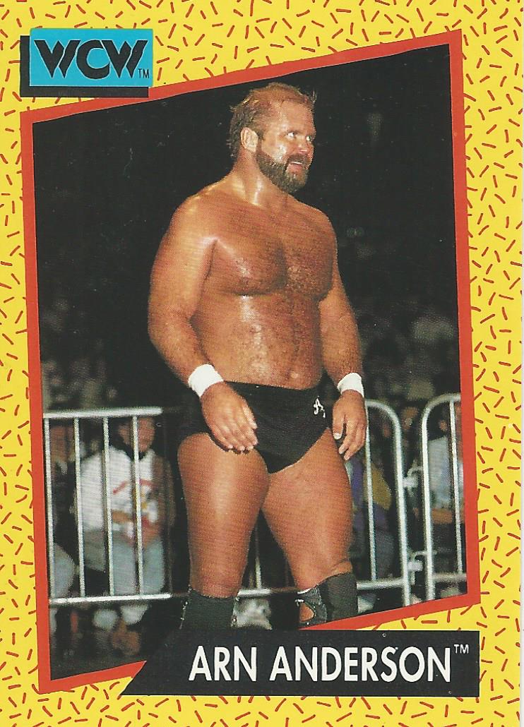 WCW Impel 1991 Arn Anderson #48