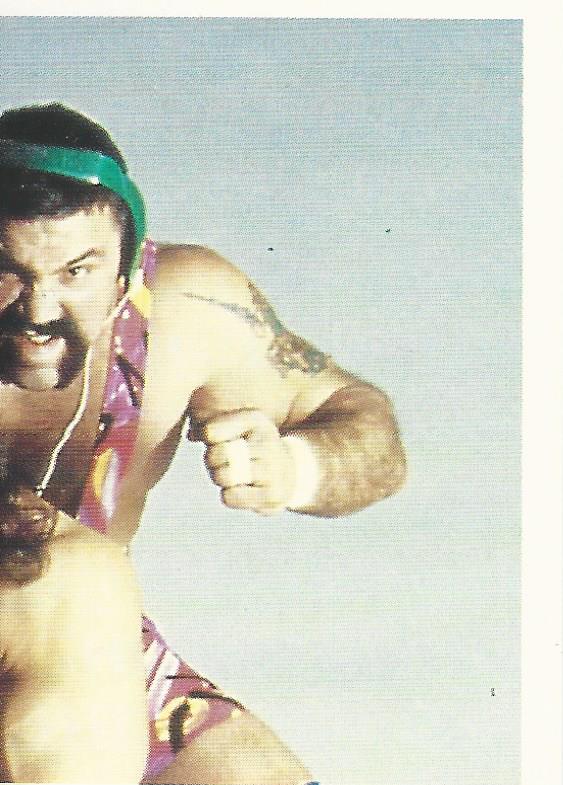 WCW Euroflash 1992 Sticker Steiner Brothers #48