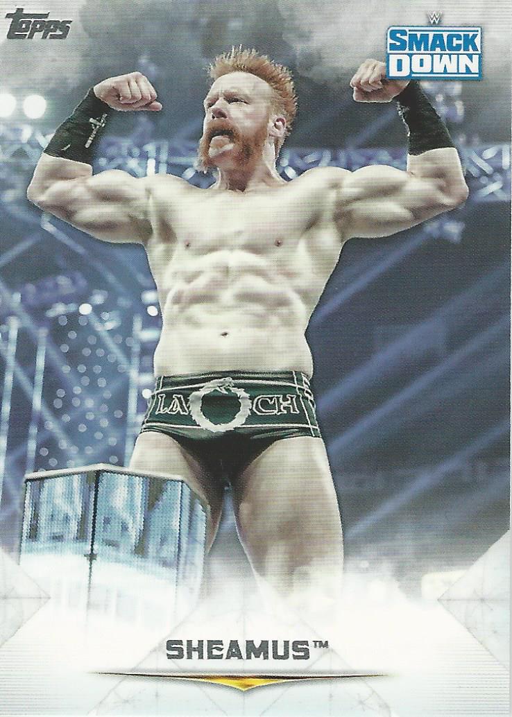WWE Topps Undisputed 2020 Sheamus #48