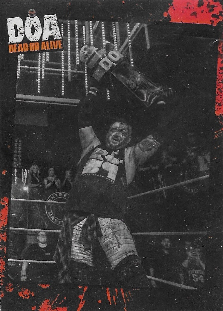 DOA Dead or Alive Ring Action