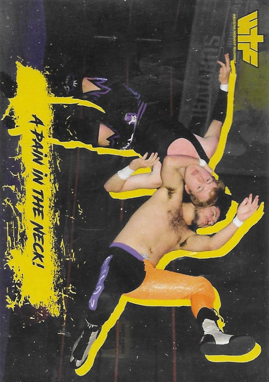 A Pain in the Neck! trading card PW Catalog