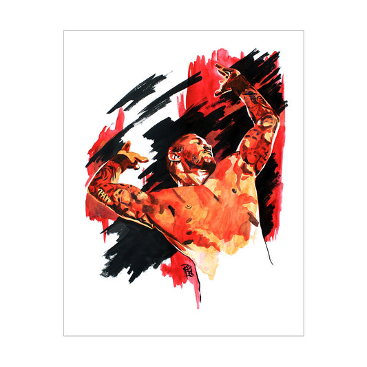 Randy Orton Rob Schamberger 11 x 14 Art Print Wall art PW Catalog