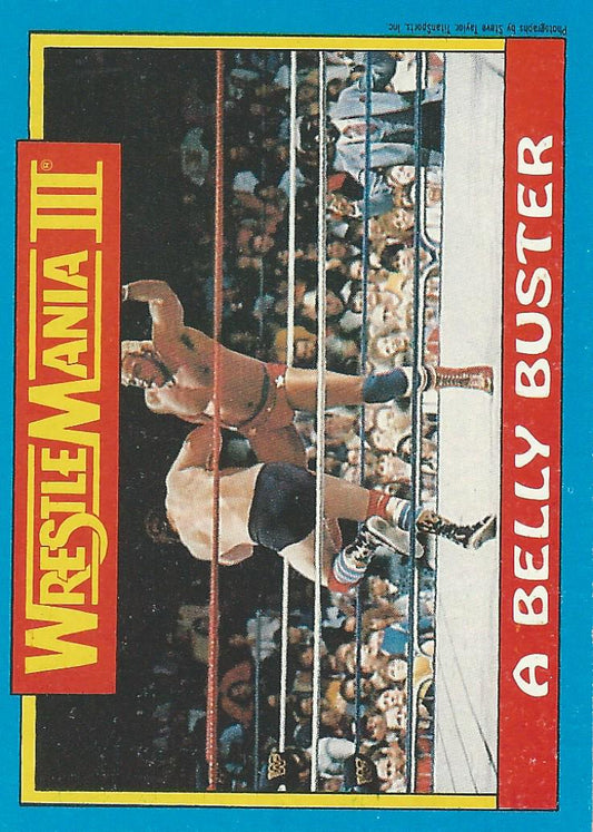 Topps WWF Wrestling Cards1987 Butch Reed #49