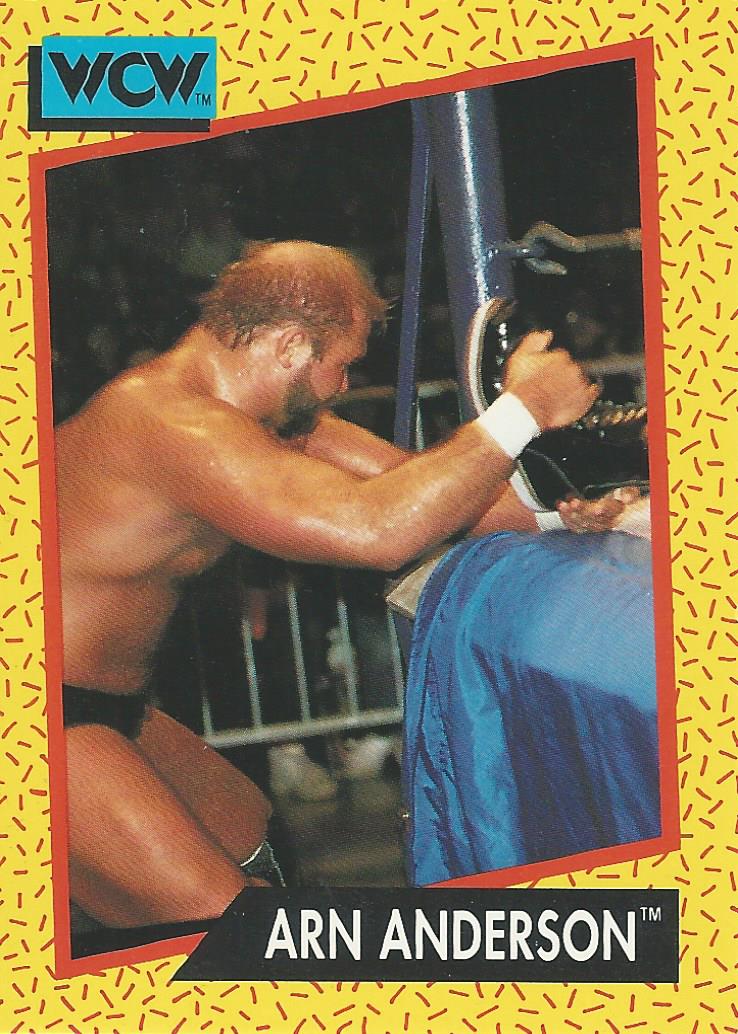 WCW Impel 1991 Arn Anderson #49