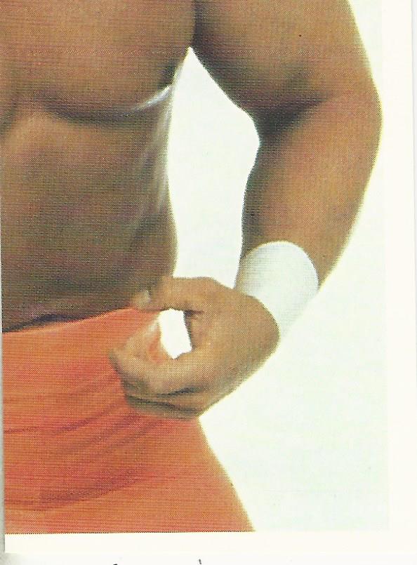 WCW Euroflash 1992 Sticker Sting #4