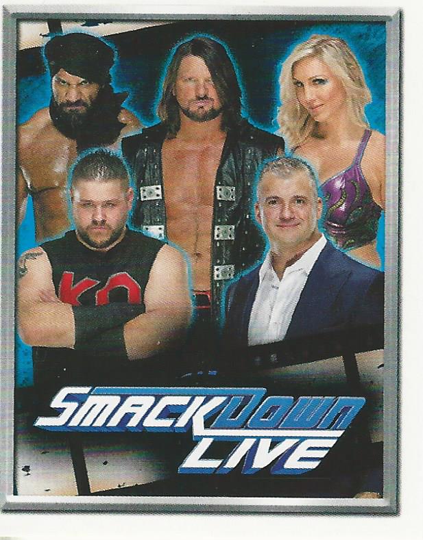 WWE Topps 2018 Stickers Smackdown Roster #4