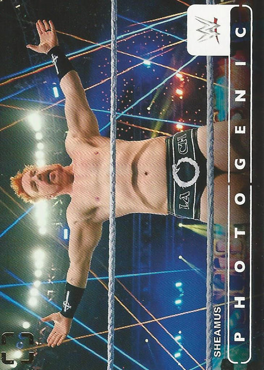 WWE Panini Photogenic 2024 Sheamus #4