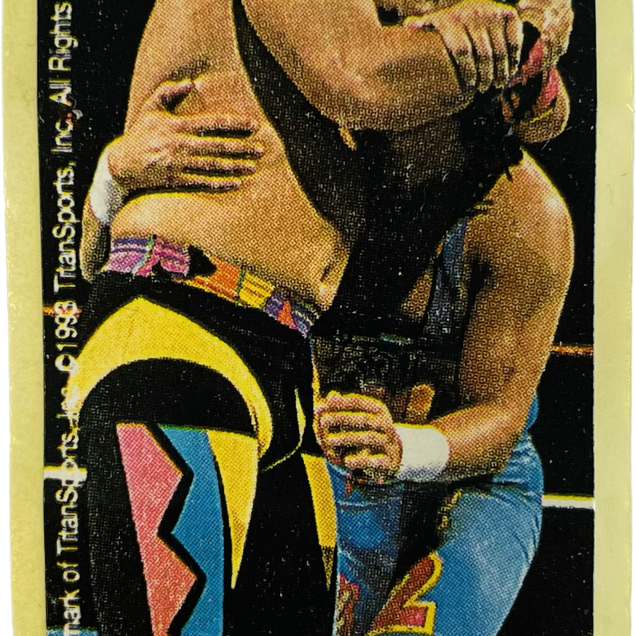 WWF Dunkin Bubble Gum Stickers (1993) No. 4 Marty Jannetty PW Catalog