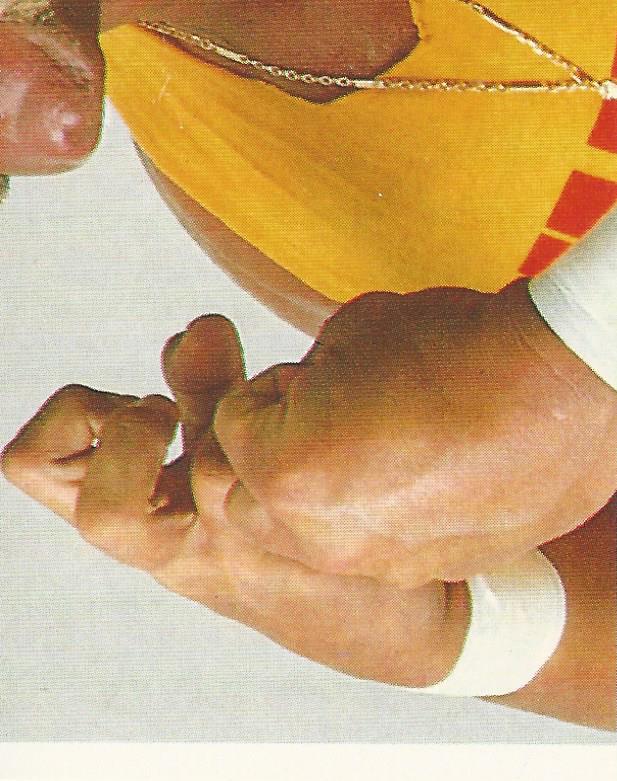 WWF Merlin Sticker Collection 1990 Hulk Hogan #4