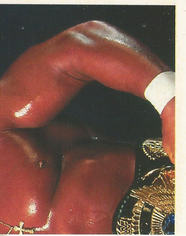 WWF Merlin Stickers 1991 Hulk Hogan #4