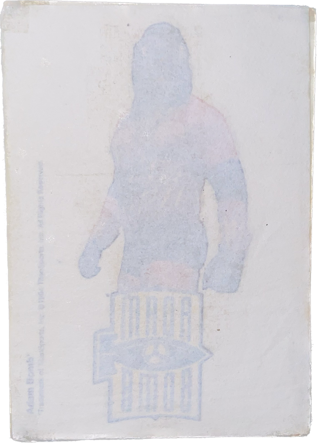 WWF Tattoos 1994 Adam Bomb from Germany