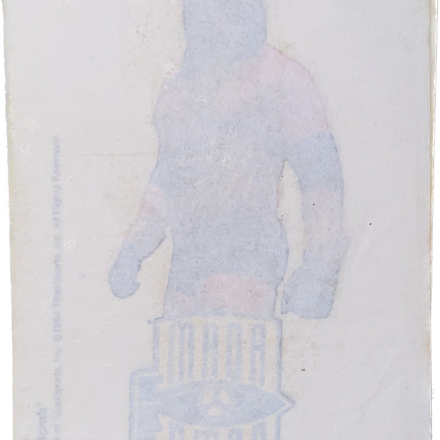 WWF Tattoos 1994 Adam Bomb from Germany Pwcatalog