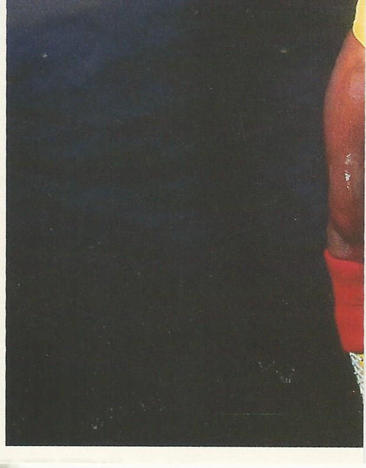 WWF Merlin Stickers 1992 Hulk Hogan #4