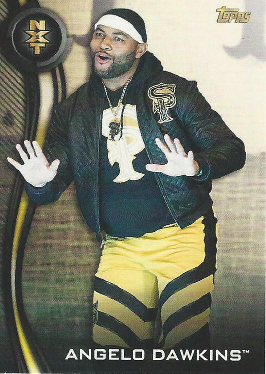 WWE Topps NXT 2019 Angelo Dawkins #4