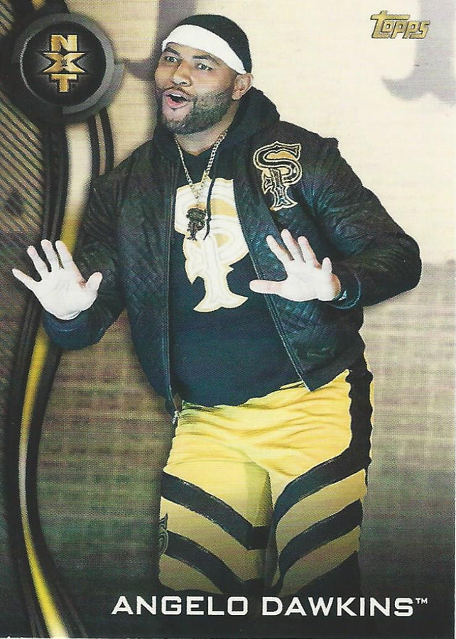 WWE Topps NXT 2019 Angelo Dawkins #4