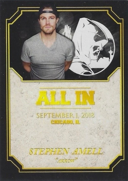 Stephen Amell “Arrow”