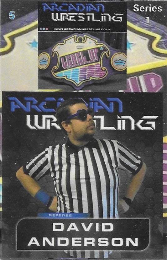 Referee David Anderson