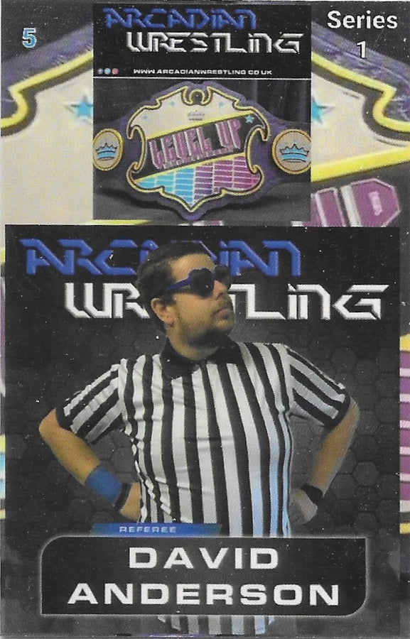 Referee David Anderson
