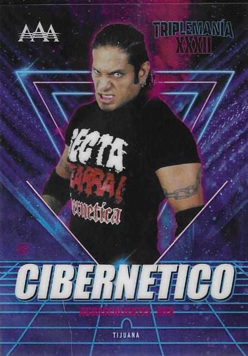 Cibernetico