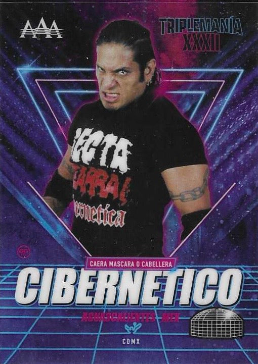 Cibernetico