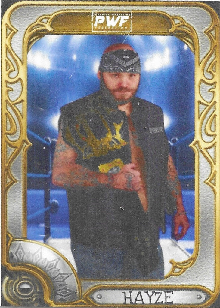 Hayze trading card PW Catalog