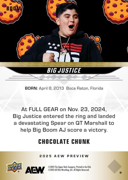 Big Justice
