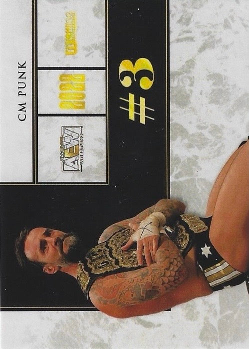 CM Punk