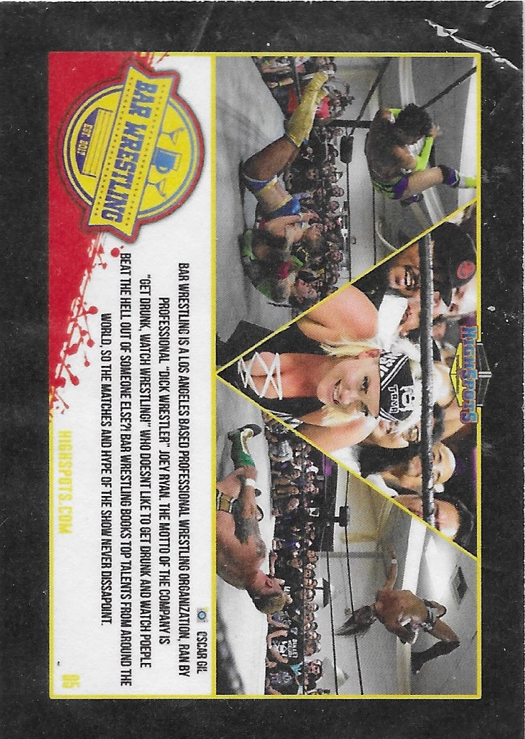 BAR Wrestling trading card PW Catalog