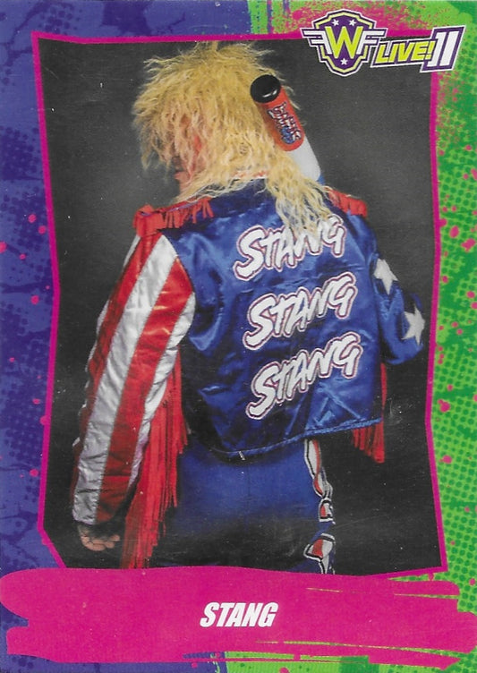 Stang trading card PW Catalog