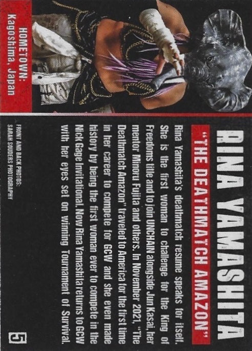 “The Deathmatch Amazon” Rina Yamashita - image 2