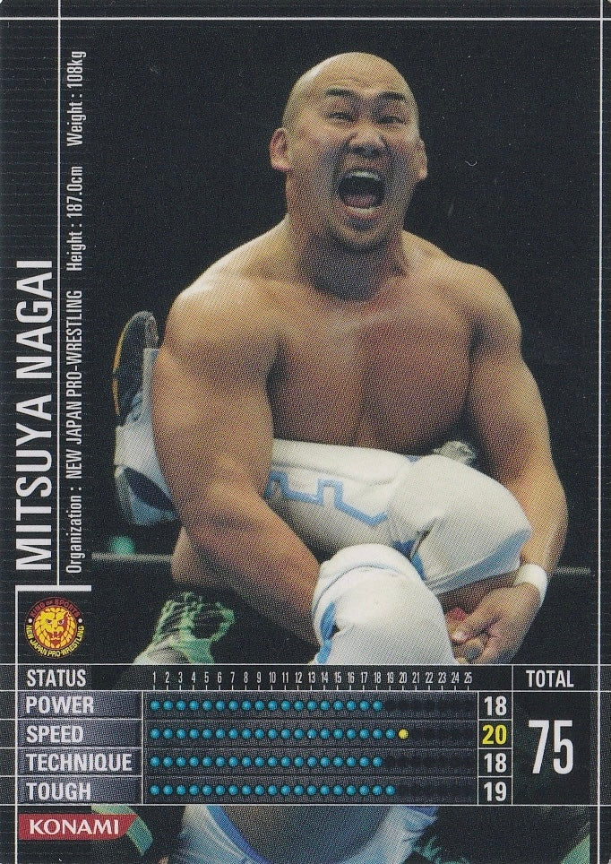 Mitsuya Nagai