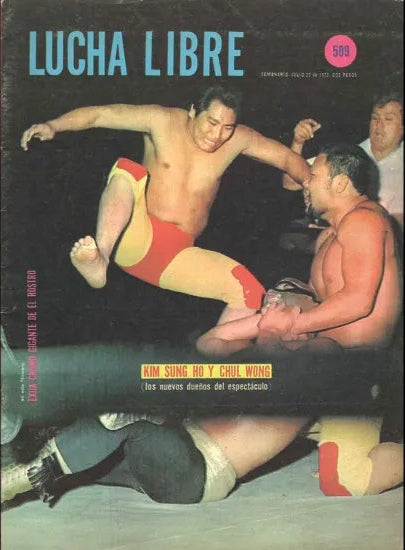 Lucha Libre Volume 509 Magazine PWcatalog