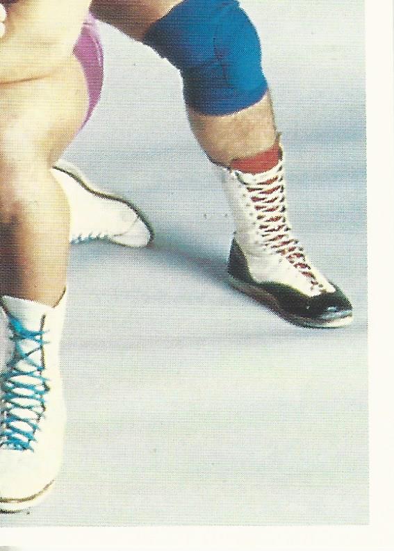 WCW Euroflash 1992 Sticker Steiner Brothers #50