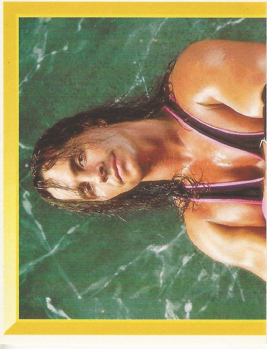 WWF Merlin Sticker 1994 Bret Hitman Hart #50