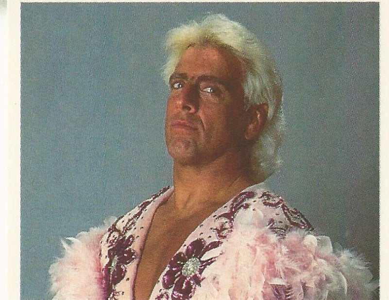 WWF Merlin Stickers 1992 Ric Flair #51
