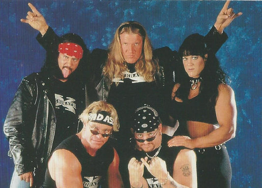 WWF Superstarz 1998 D-Generation X #51
