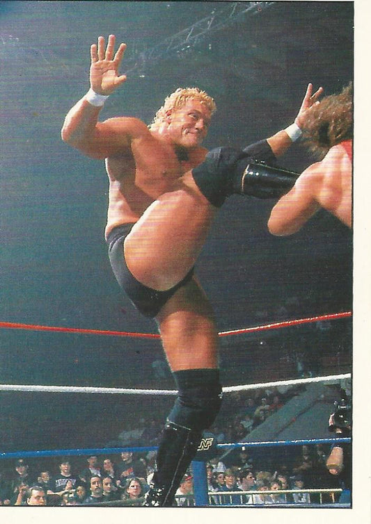 WWF Panini 1995 Sticker Collection Sid #51