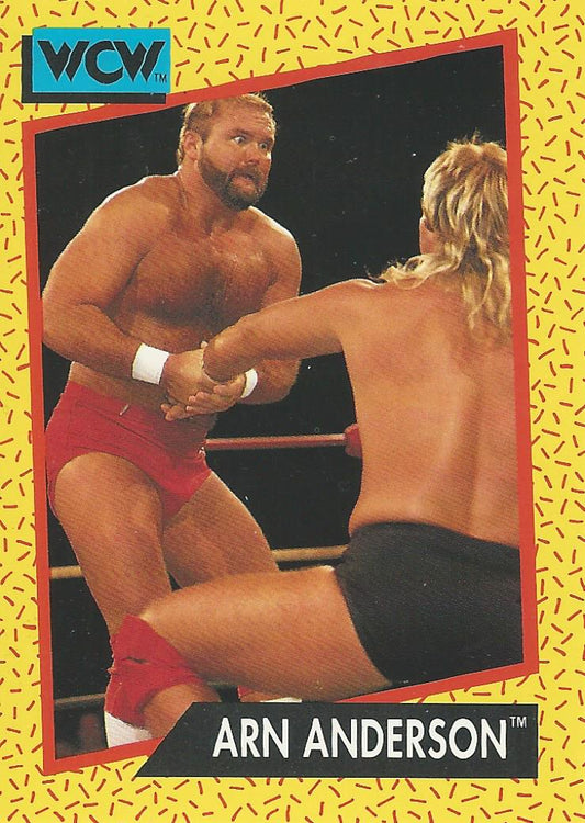WCW Impel 1991 Arn Anderson #51