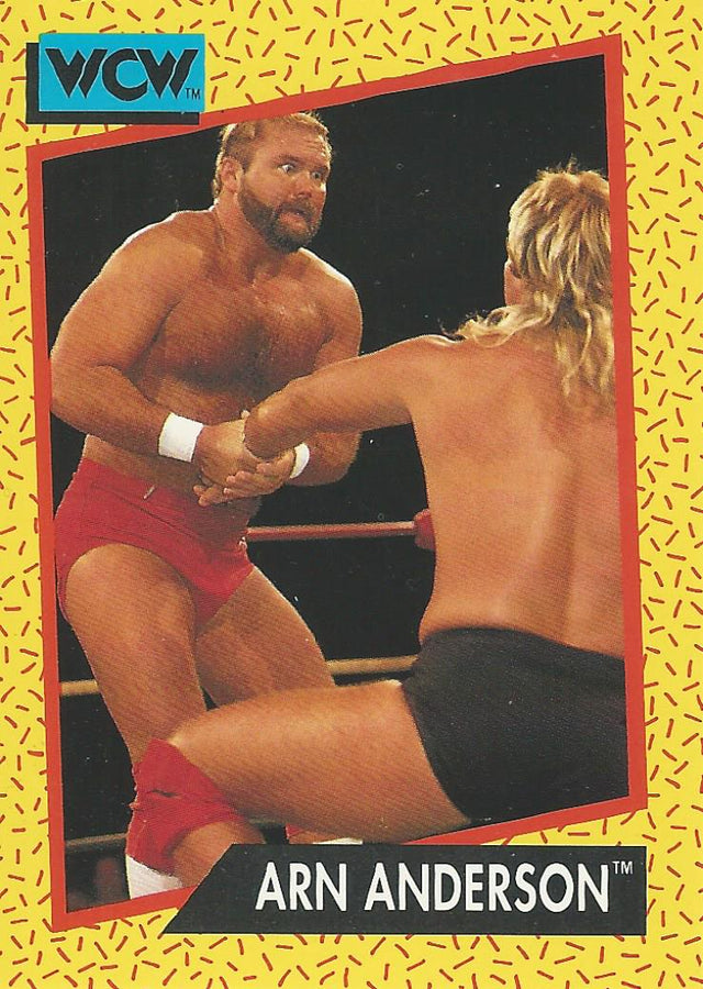 WCW Impel 1991 Arn Anderson #51