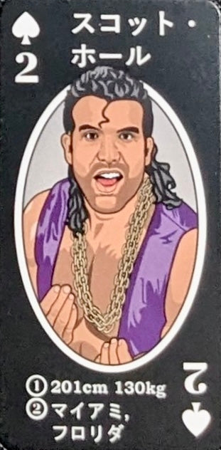 Scott Hall trading card PW Catalog