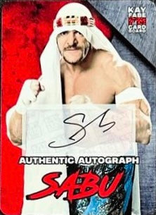 Sabu trading card PW Catalog