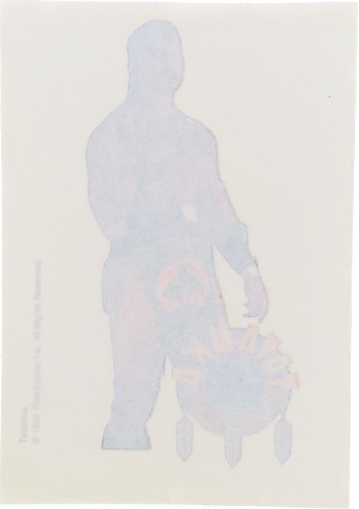 WWF Tattoos 1995 Tatanka from Germany Pwcatalog