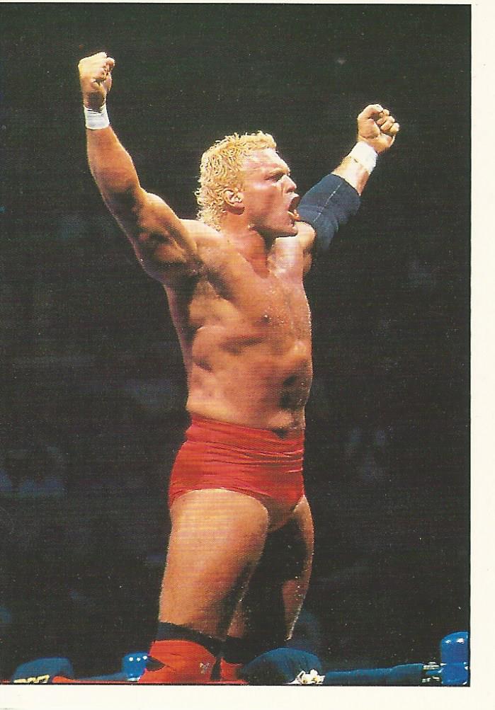 WWF Panini 1995 Sticker Collection Sid #52