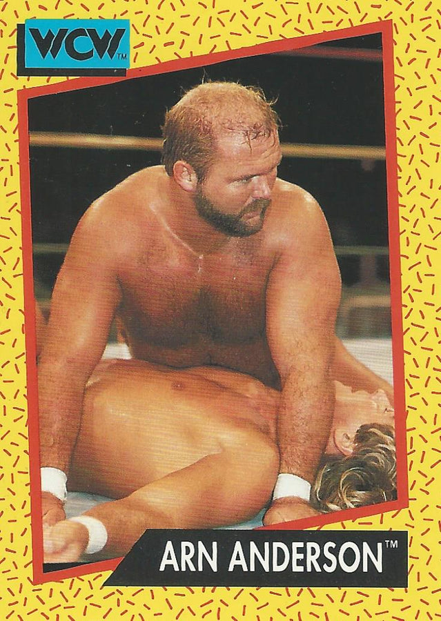 WCW Impel 1991 Arn Anderson #52