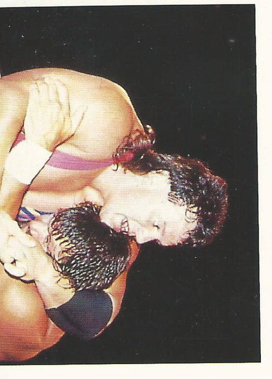 WCW Euroflash 1992 Sticker Steiner Brothers #52