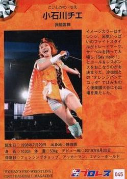 Chie Koishikawa